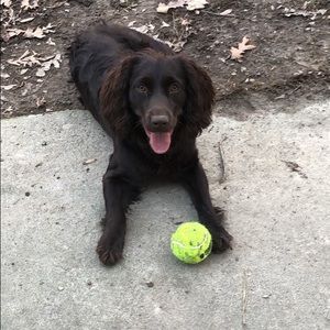 Meet your Posher, Savannah